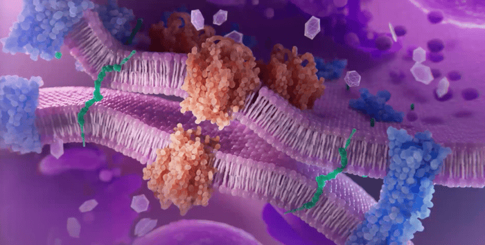 Знімок екрана 2024-01-03 о 15.26.17