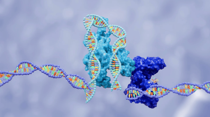 Знімок екрана 2024-01-04 о 17.43.08