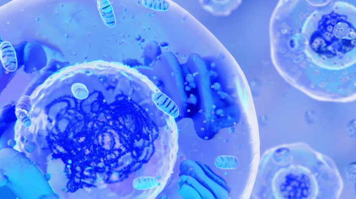 Знімок екрана 2024-01-04 о 17.43.23