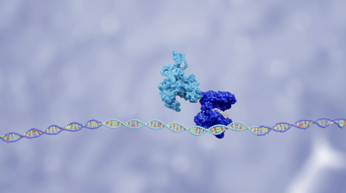 Знімок екрана 2024-01-04 о 17.44.03