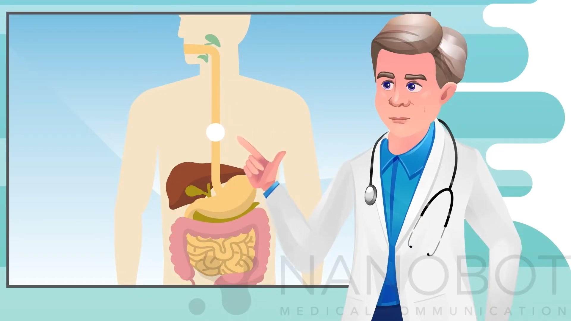 2D Medical Animation