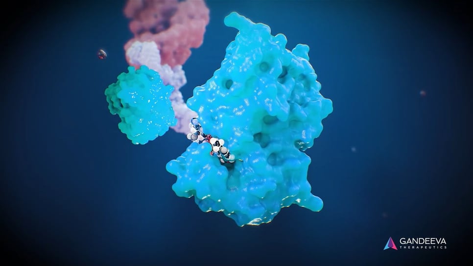 Animation type 3D medium
