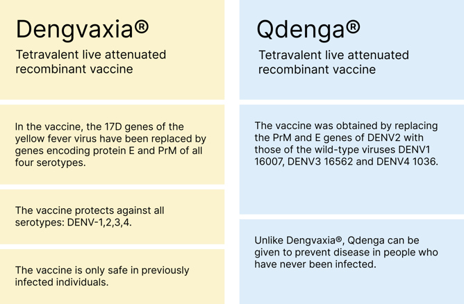 Dengue Vaccine