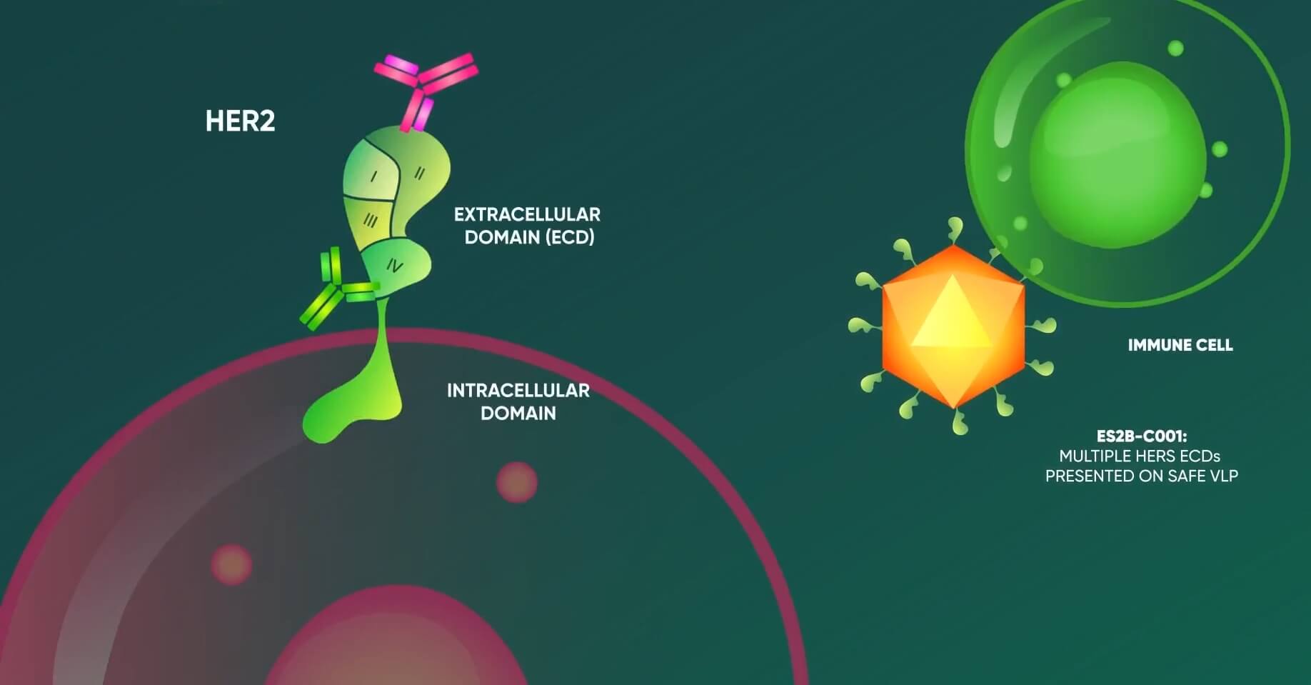 Expres2Ions Case study
