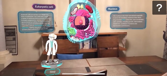 Immersive solutions case1