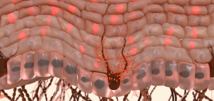 Supporting brand image for Soltego - 01