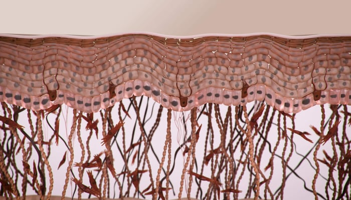 Supporting brand image for Soltego - 04