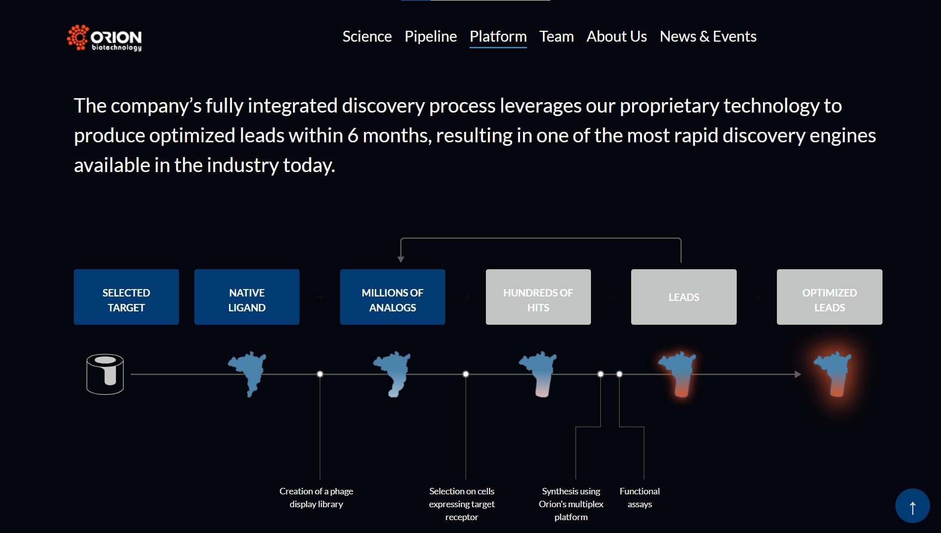 Supporting fundraising for Orion Biotechnology - Main