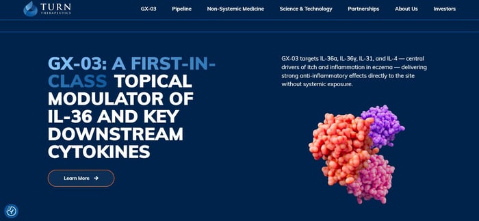 Turn Therapeutics website Results