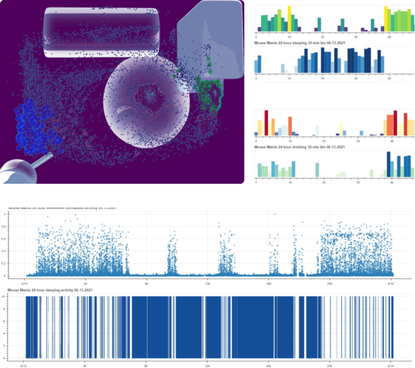 Invivo Cloud Case Study