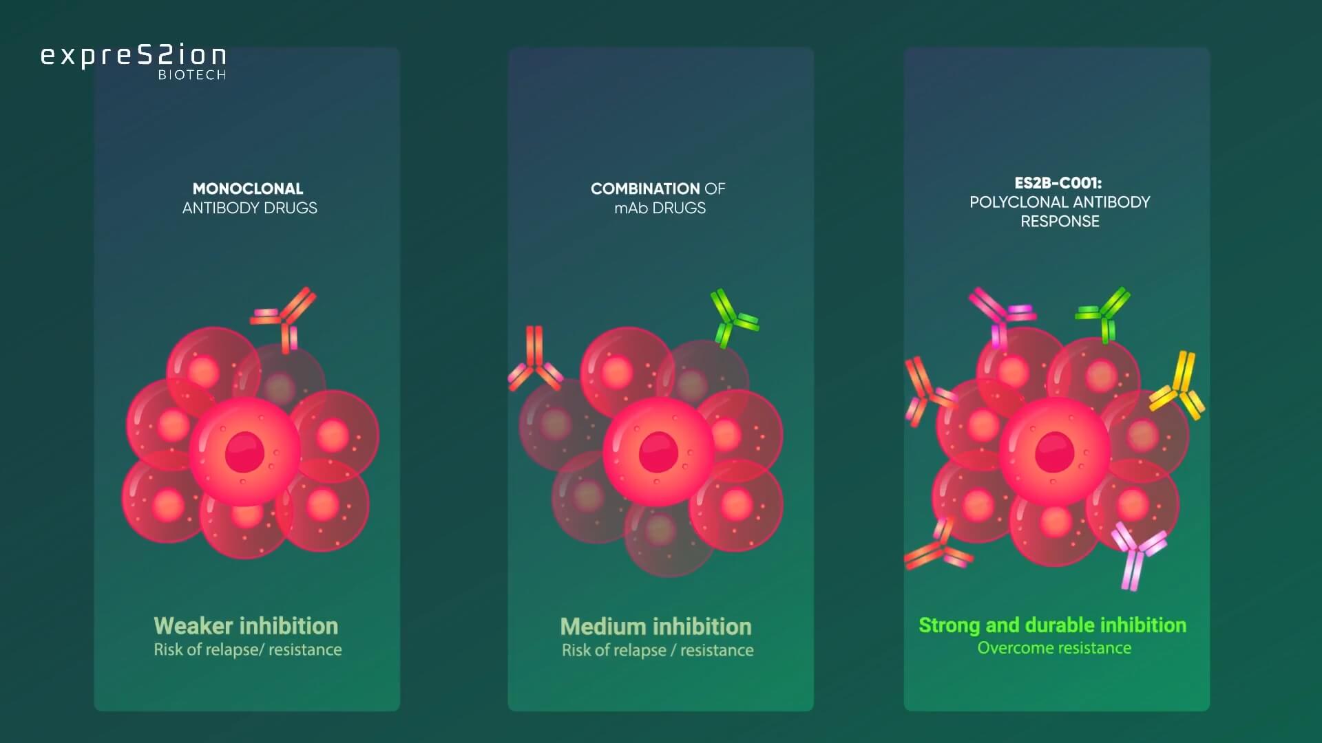 how the HER2-VLP vaccine works