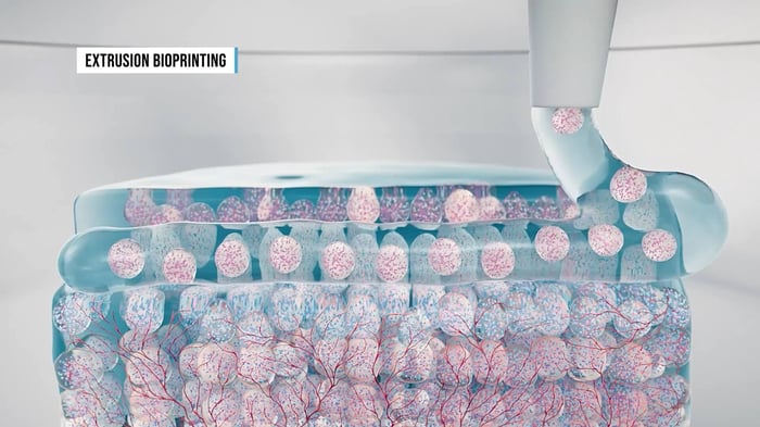 ku-leuven - 3D animation explaining the process of developing artificial organoid implants 2