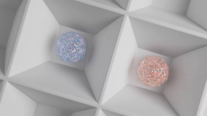 ku-leuven - 3D animation explaining the process of developing artificial organoid implants 3