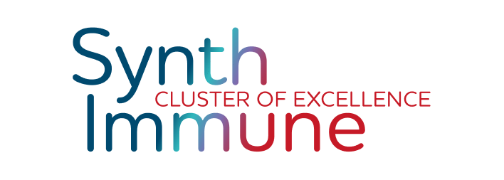 Synthimmune cluster of excellence